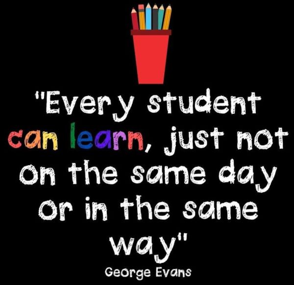 online teachers